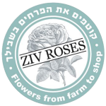 ROSE4U – ורדים, פרחים, משלוחים