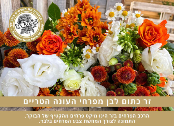 בוקט כתום לבן בחירת המעצב (תמונה להמחשה)