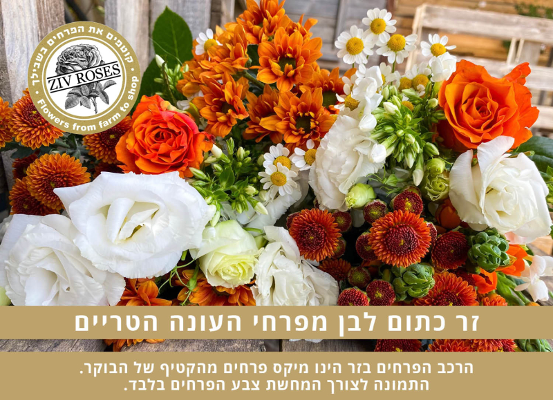 בוקט כתום לבן בחירת המעצב (תמונה להמחשה)
