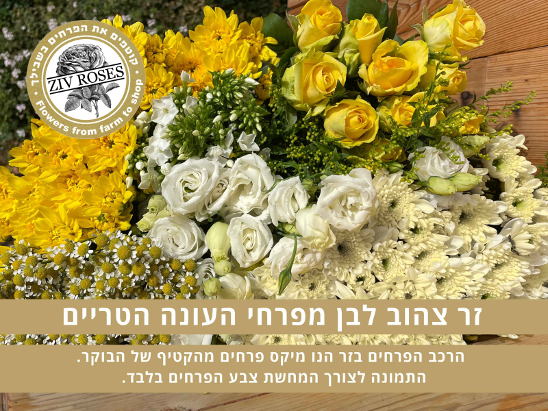 זר צהוב לבן לבחירת המעצב (תמונה להמחשה)