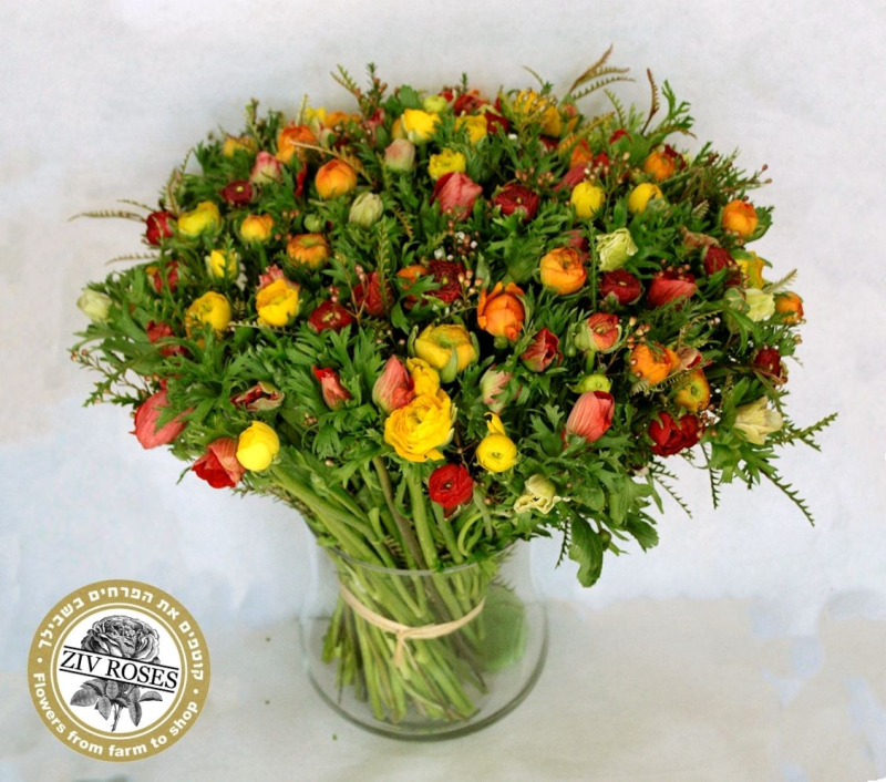 זר פרחי שדה שלכת זר פרחי שדה שלכת