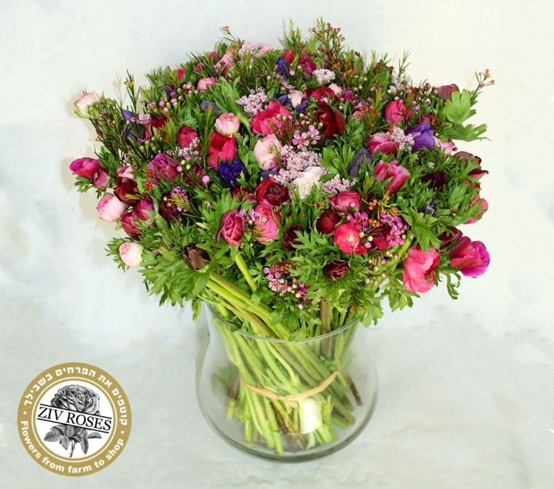 זר פרחי שדה גשם יבוא זר פרחי שדה גשם יבוא